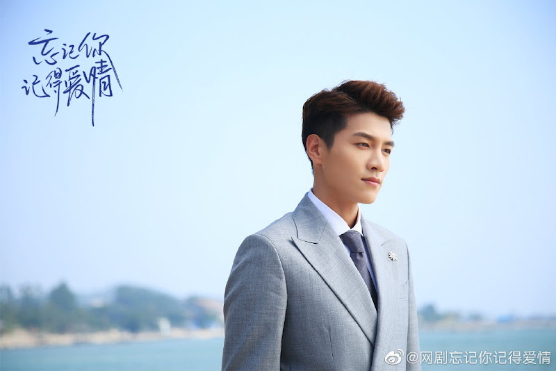 Forget You, Remember Love China Web Drama